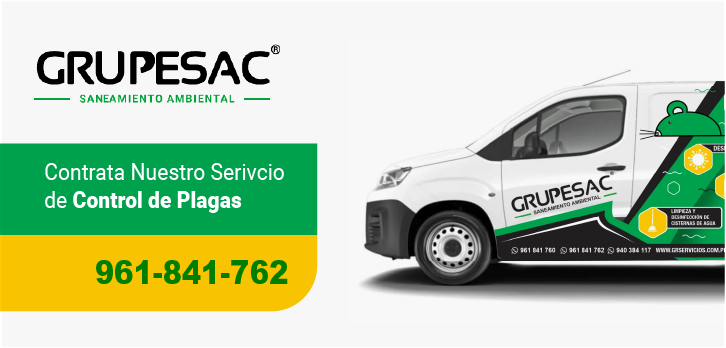 Servicio de control de plagas Servicio de control de plagas